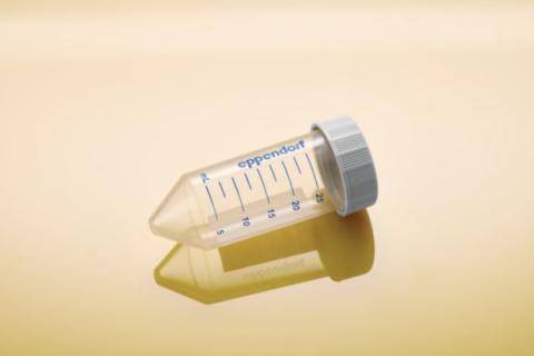Conical Tubes 25, BioB, sterile, 200 pcs