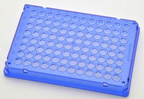 300 PCRPlate 96,skirted blue