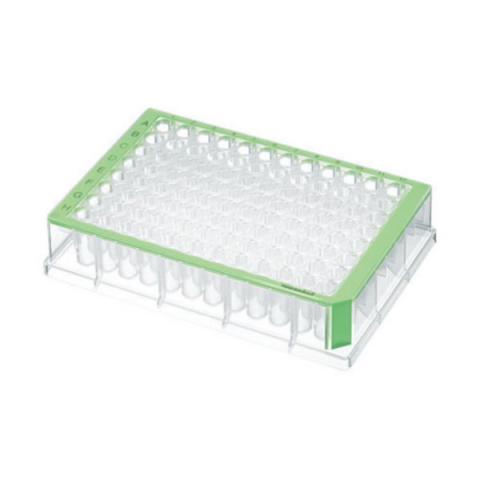 40 DWPs 96x500µl green ster.