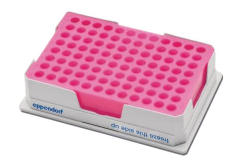PCR-Cooler  pink