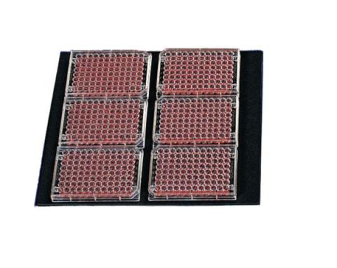 UTILITY TRAY, FOR INNOVA 2300 & 4300/440
